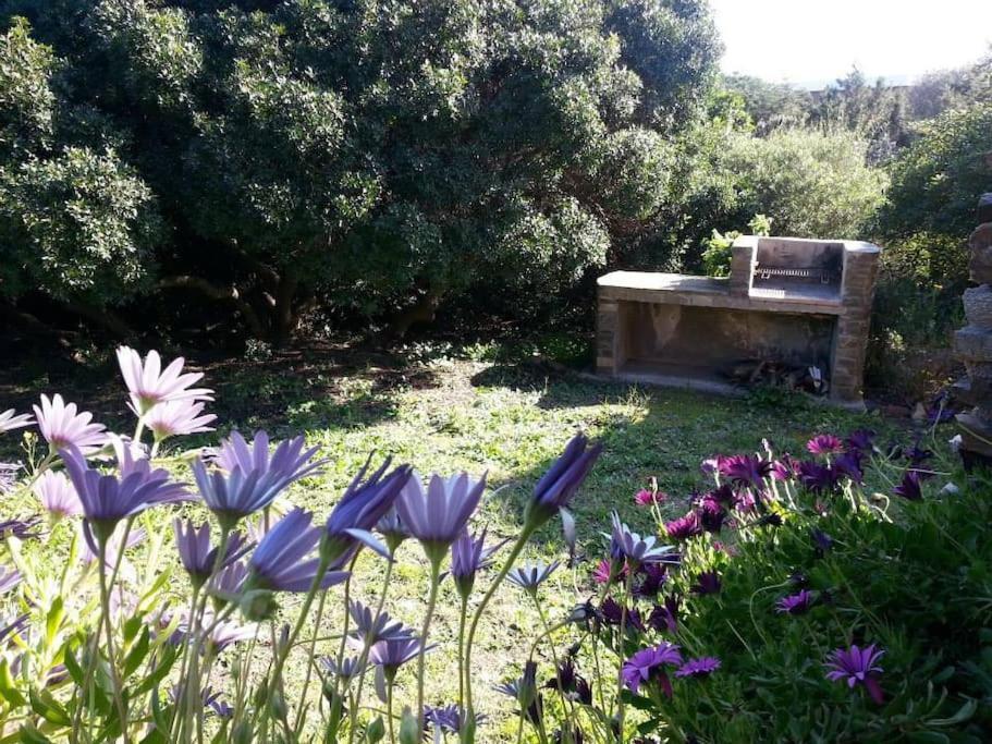 L' Elicriso, A Pochi Passi Dal Mare Con Giardino Privato - The Elicriso, A Few Meters From The Sea, With Private Garden Apartment Stintino Bagian luar foto