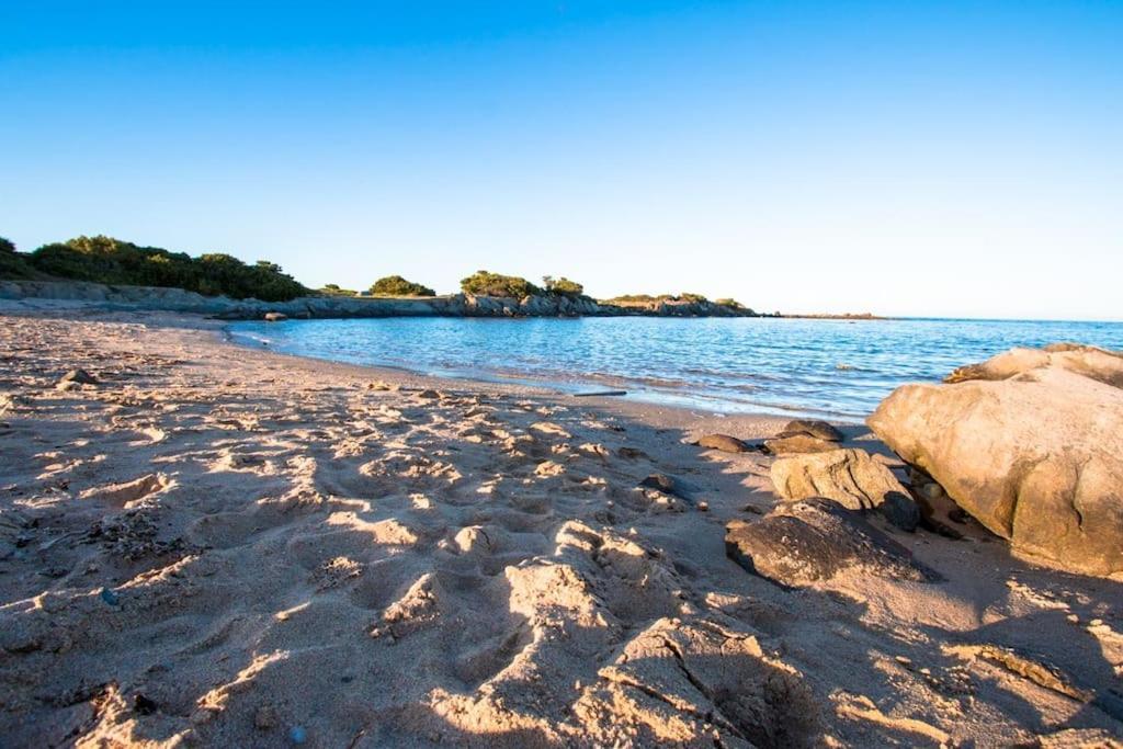 L' Elicriso, A Pochi Passi Dal Mare Con Giardino Privato - The Elicriso, A Few Meters From The Sea, With Private Garden Apartment Stintino Bagian luar foto
