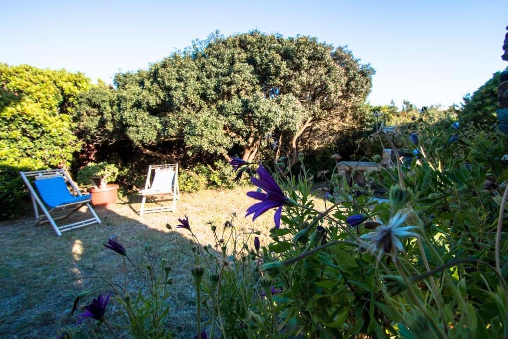 L' Elicriso, A Pochi Passi Dal Mare Con Giardino Privato - The Elicriso, A Few Meters From The Sea, With Private Garden Apartment Stintino Bagian luar foto