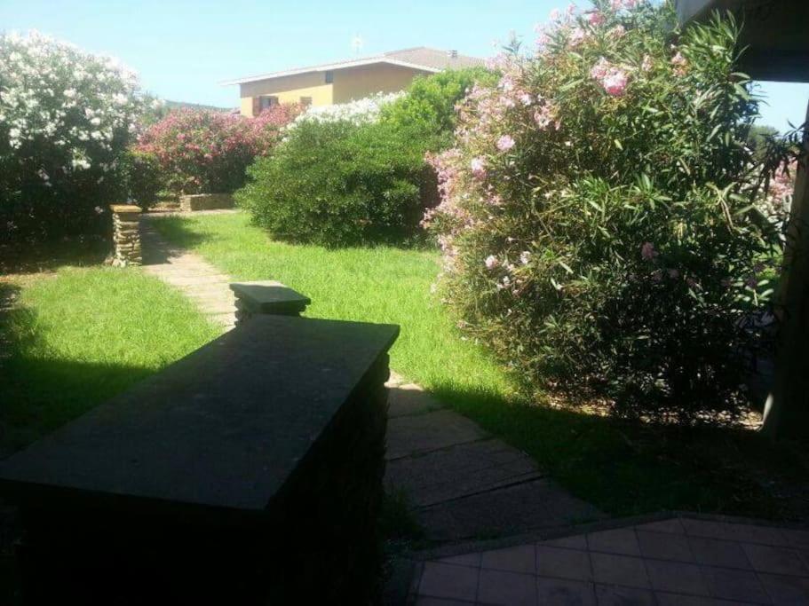 L' Elicriso, A Pochi Passi Dal Mare Con Giardino Privato - The Elicriso, A Few Meters From The Sea, With Private Garden Apartment Stintino Bagian luar foto