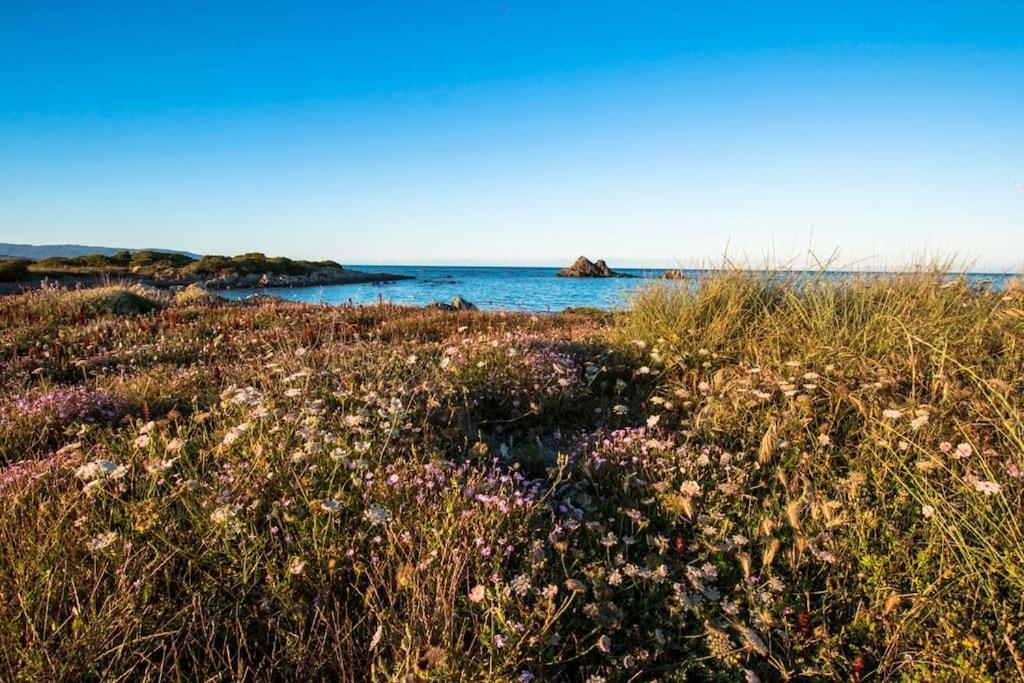 L' Elicriso, A Pochi Passi Dal Mare Con Giardino Privato - The Elicriso, A Few Meters From The Sea, With Private Garden Apartment Stintino Bagian luar foto