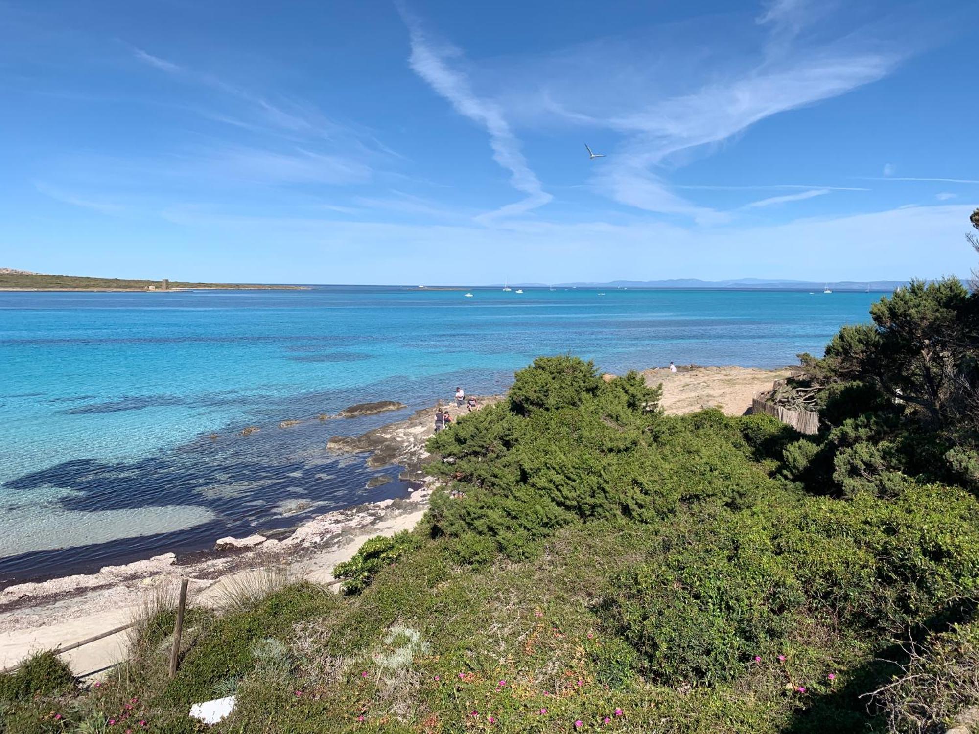 L' Elicriso, A Pochi Passi Dal Mare Con Giardino Privato - The Elicriso, A Few Meters From The Sea, With Private Garden Apartment Stintino Bagian luar foto