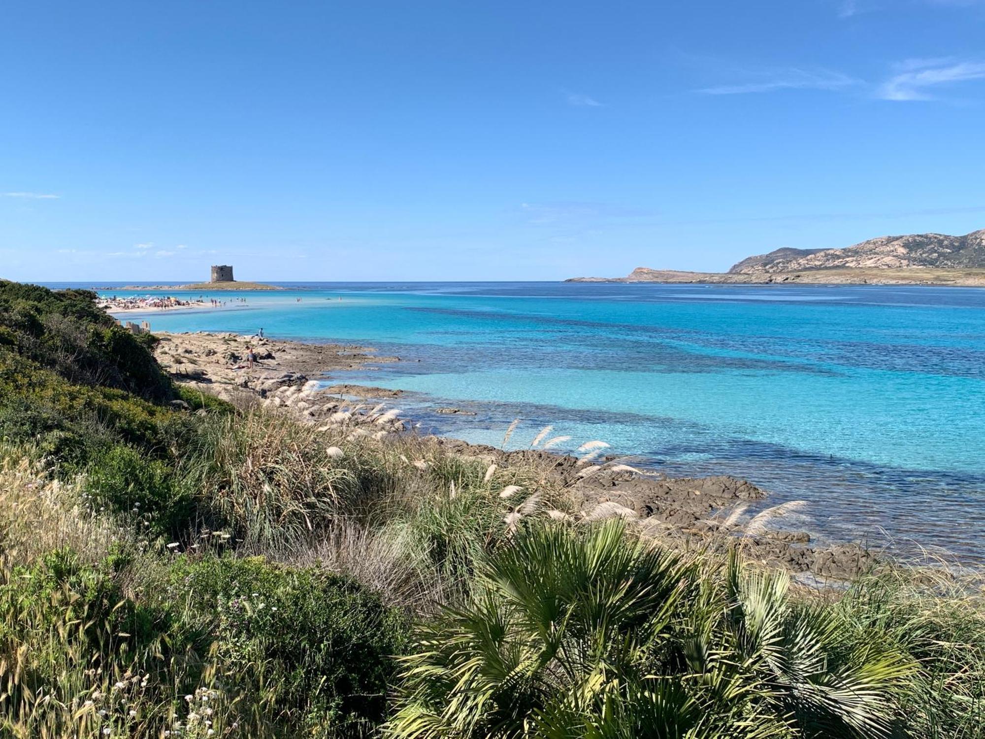 L' Elicriso, A Pochi Passi Dal Mare Con Giardino Privato - The Elicriso, A Few Meters From The Sea, With Private Garden Apartment Stintino Bagian luar foto