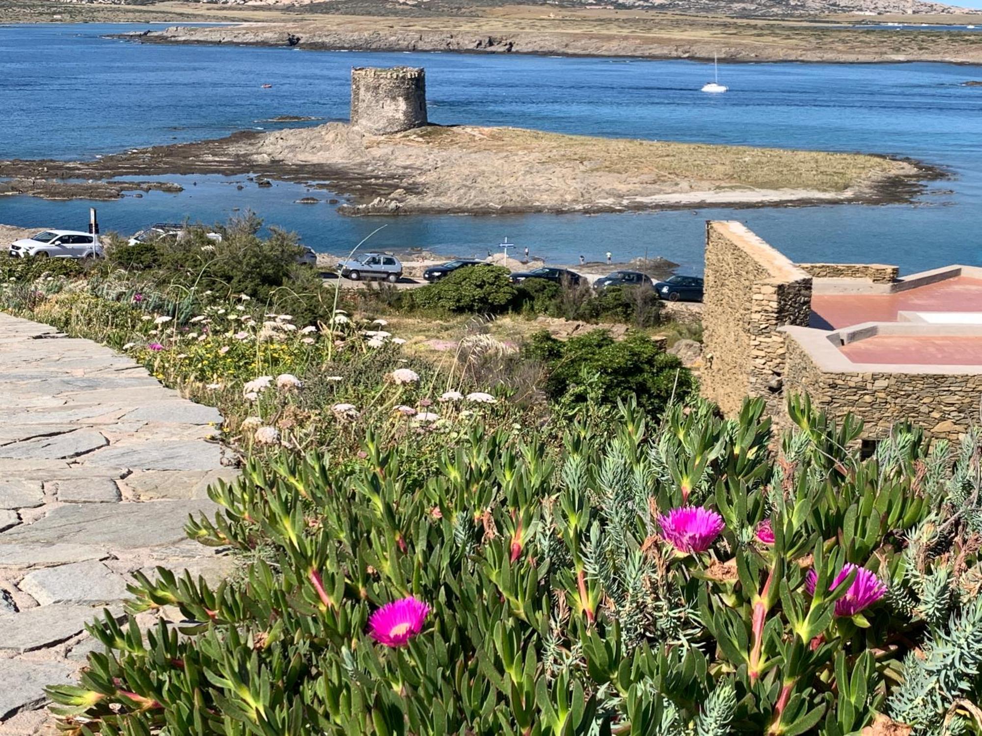 L' Elicriso, A Pochi Passi Dal Mare Con Giardino Privato - The Elicriso, A Few Meters From The Sea, With Private Garden Apartment Stintino Bagian luar foto