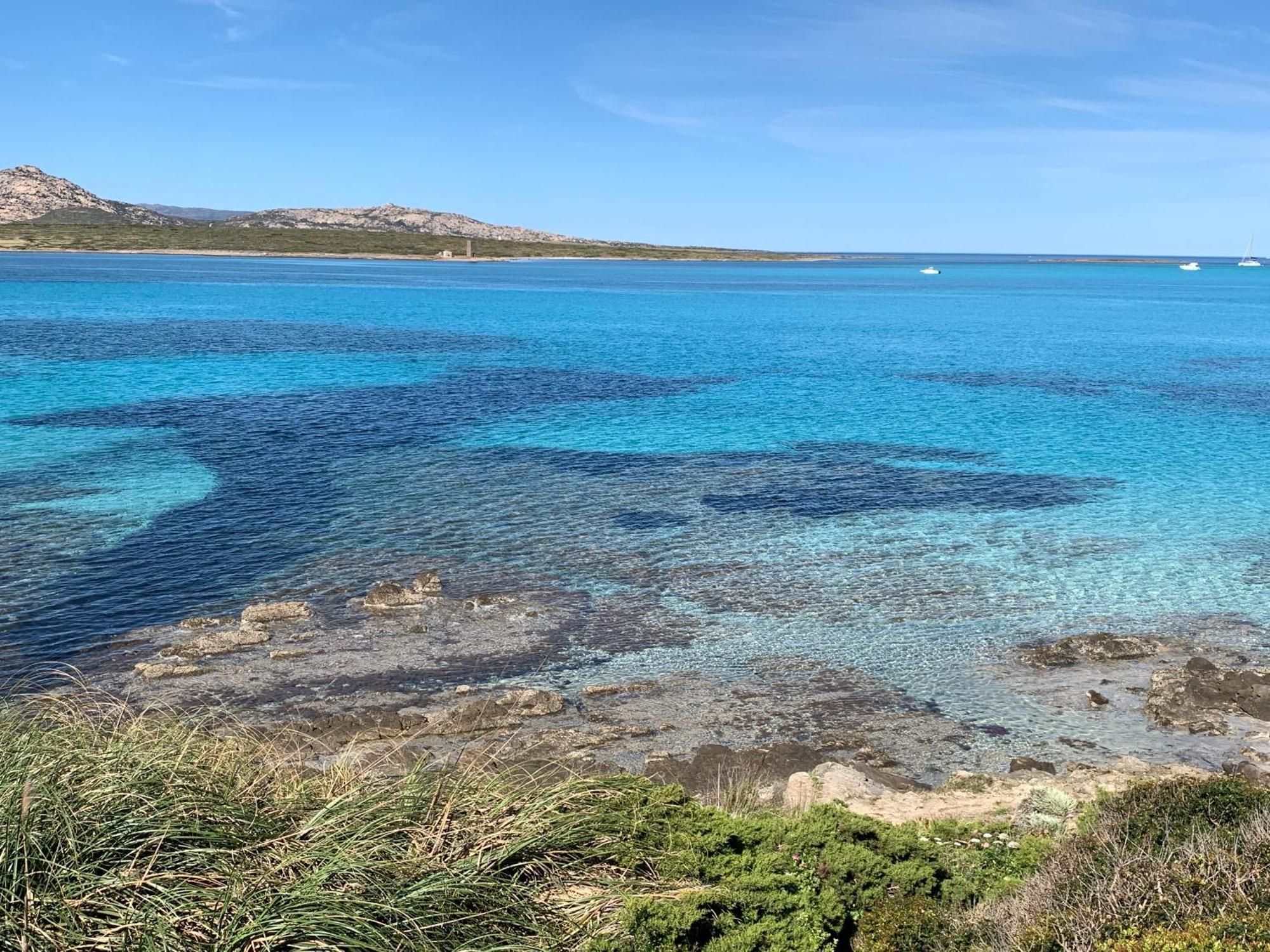 L' Elicriso, A Pochi Passi Dal Mare Con Giardino Privato - The Elicriso, A Few Meters From The Sea, With Private Garden Apartment Stintino Bagian luar foto